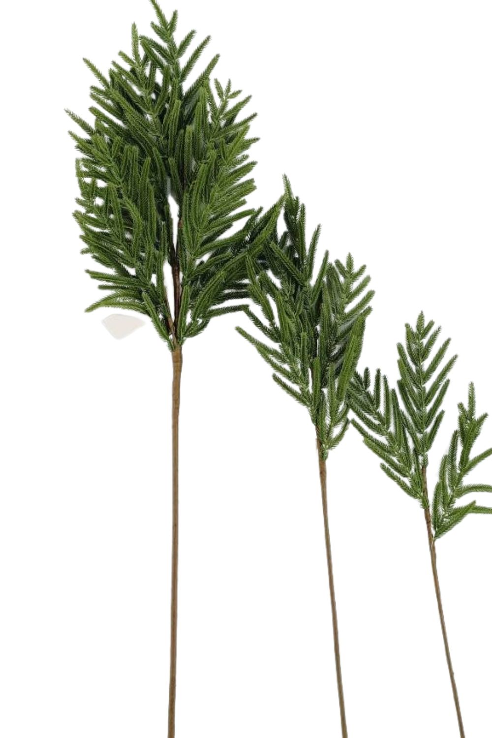 Norfolk Pine Real Touch Green Faux Stem - Luxe B Co